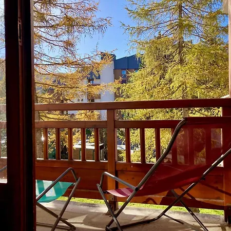 Confortable, Pied De Pistes Au Coeur Des Deux Alpes, Animaux Admis - Fr-1-811-26 Apartment